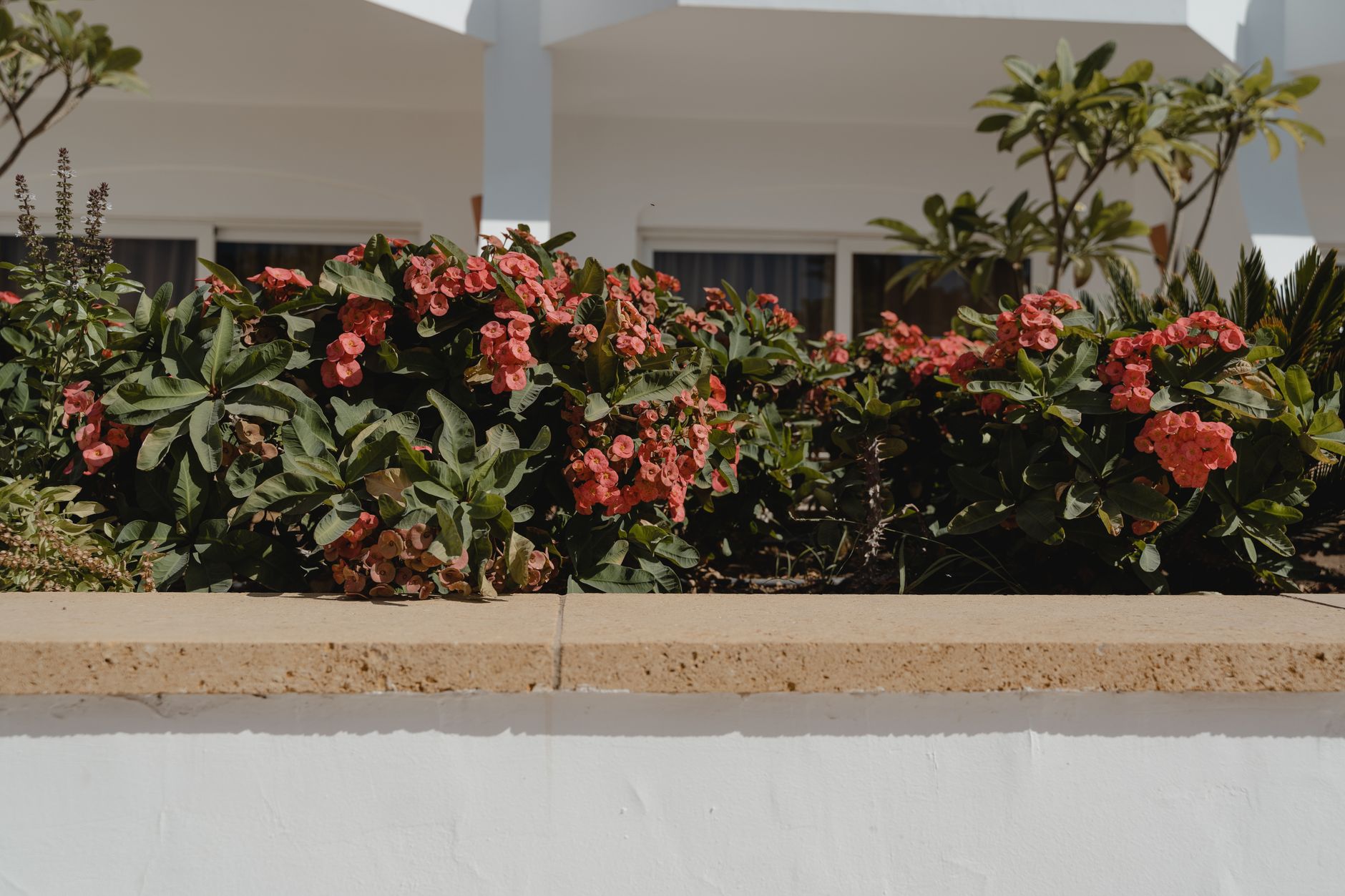 Fern & Field Landscape Co. work