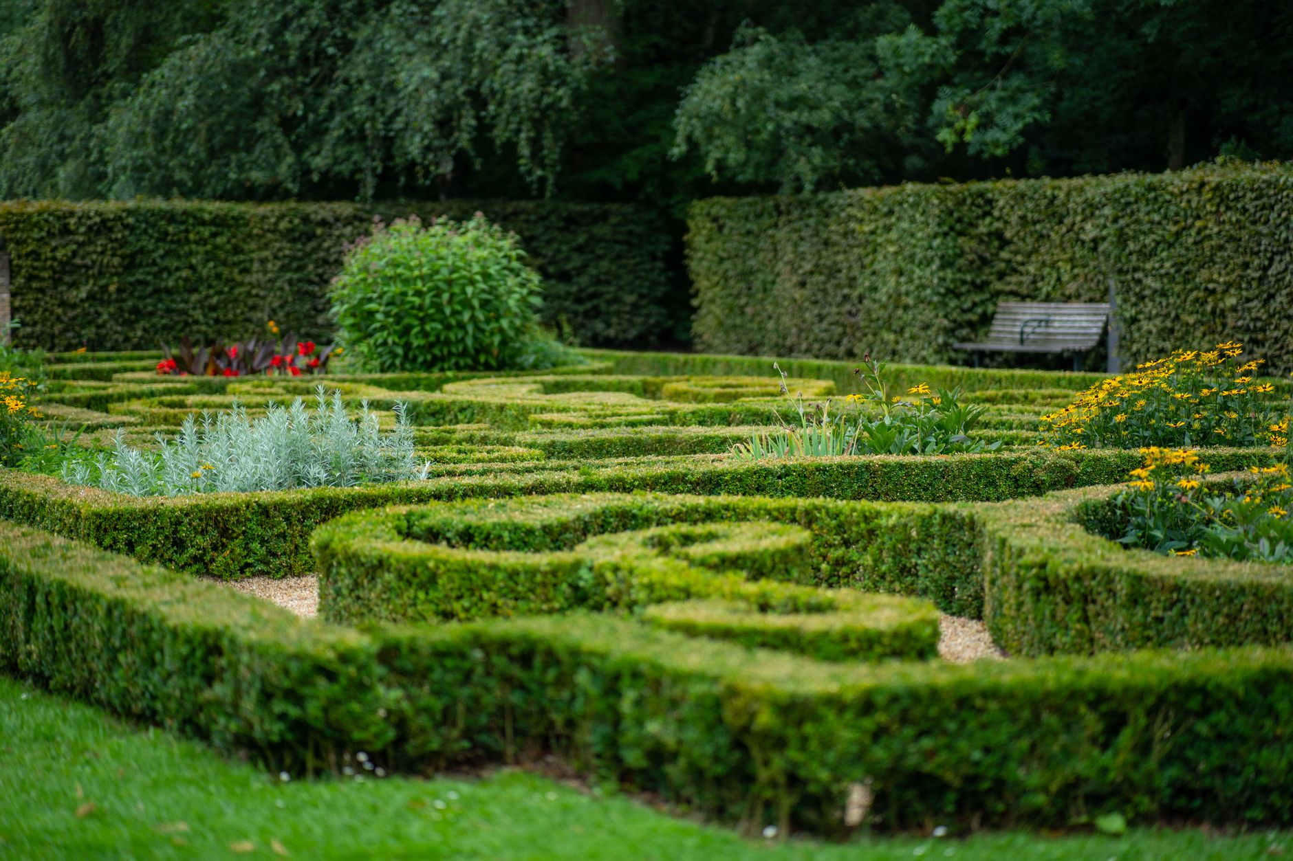 Fern & Field Landscape Co. work