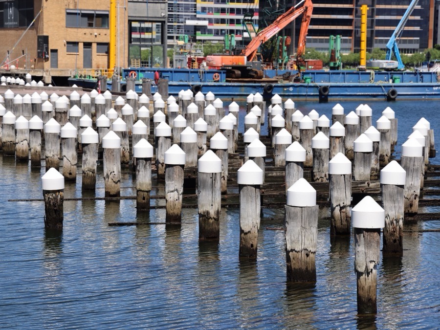 Rows of driven timber pilings capped and waiting for decking in a working harbour