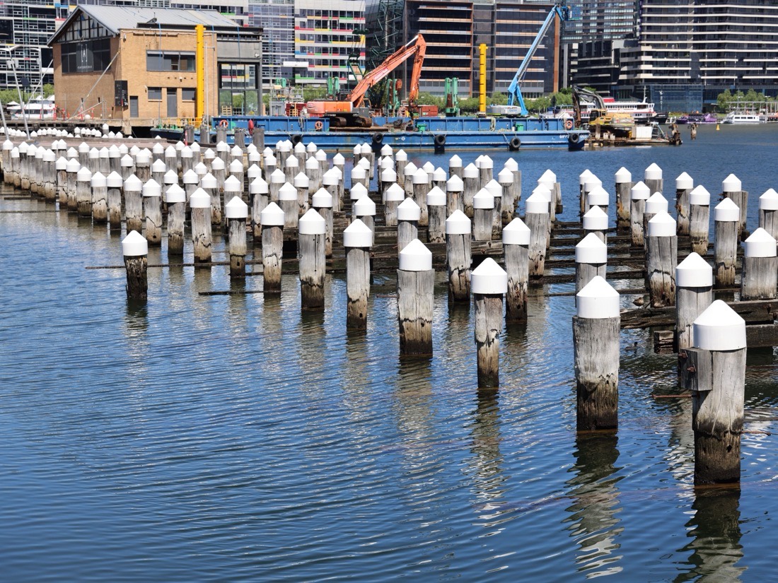 Driven timber pilings capped along a dock, cranes working behind