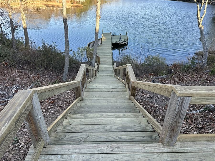 A timber staircase with handrails descending a wooded bluff onto a walkway that runs out to a dock