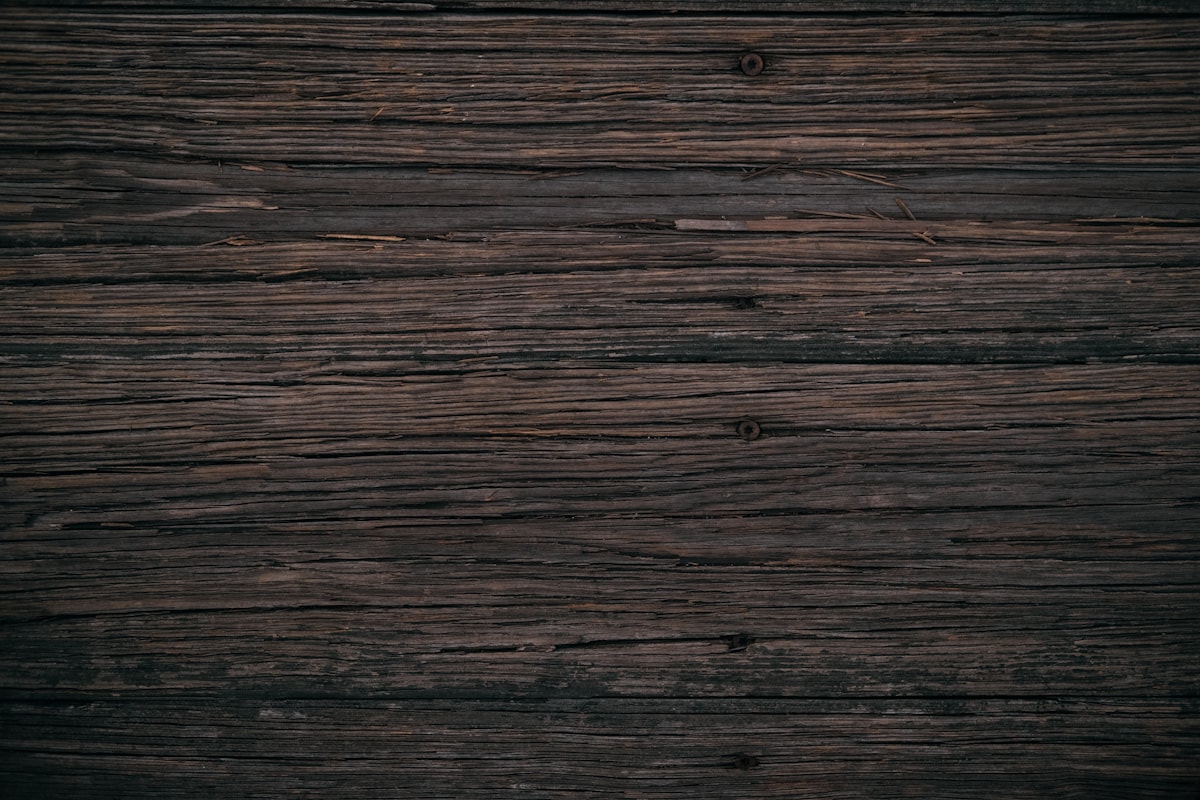 Oak board grain close-up