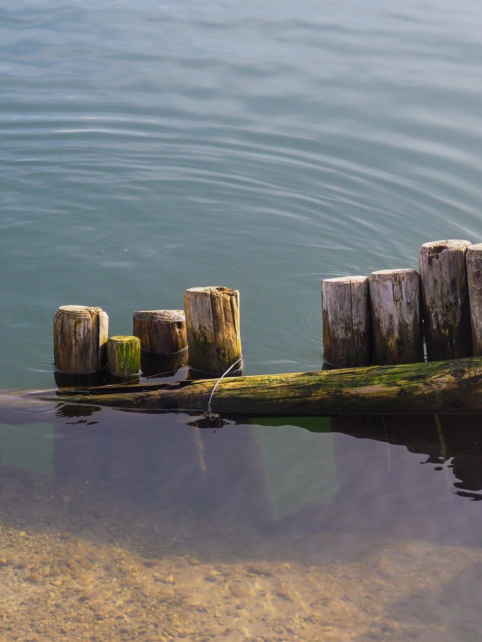 New timber bulkhead and cut-off pilings standing in the shallows off a sandy bank