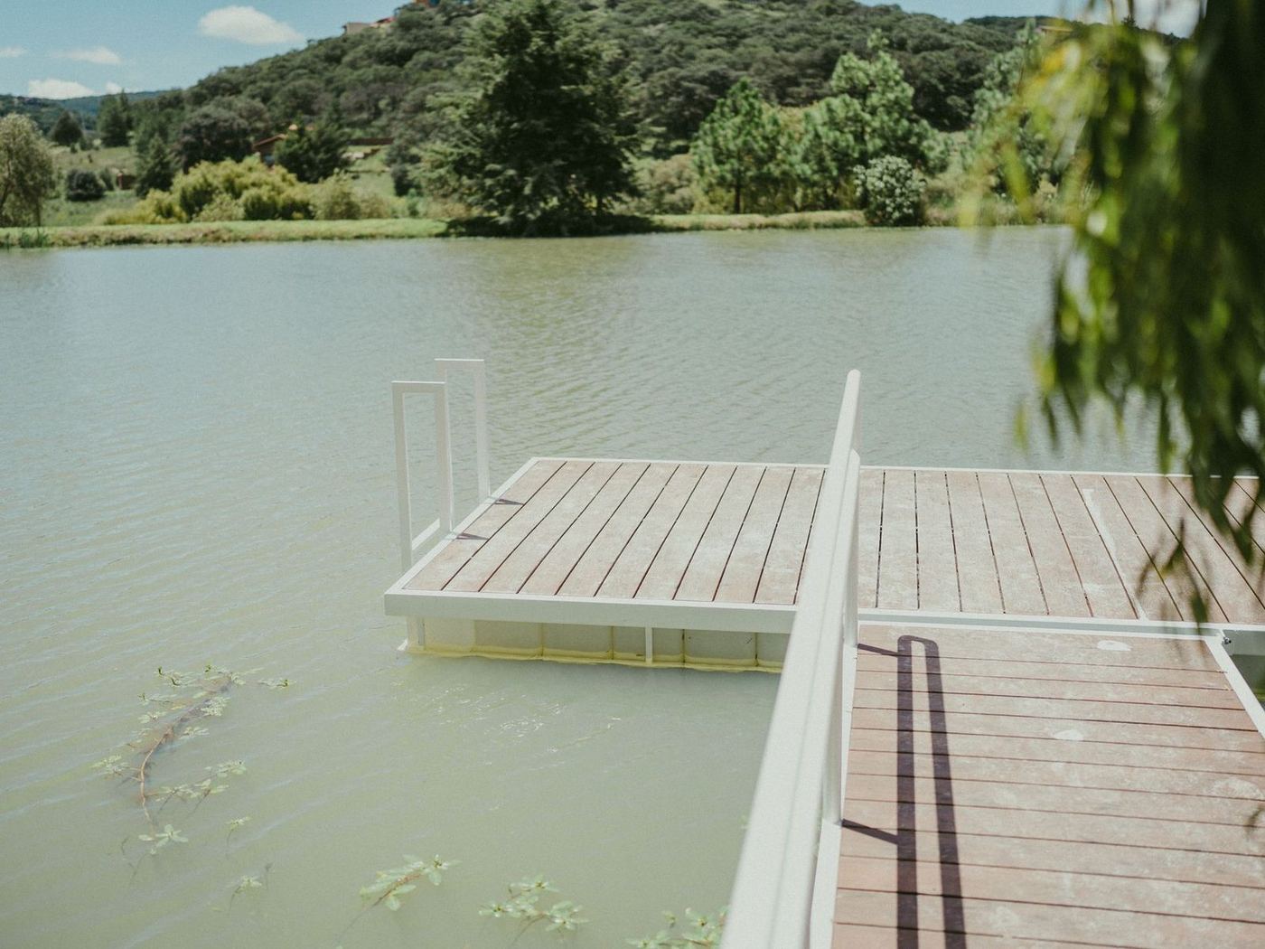 Floating timber platform moored off a green, tree-lined bank