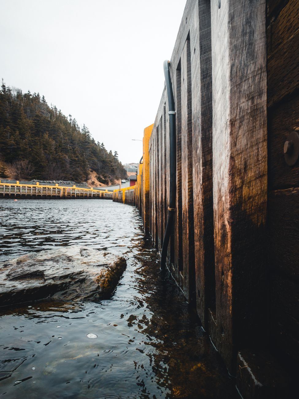 Tall timber seawall rising straight out of the water along a wooded shore