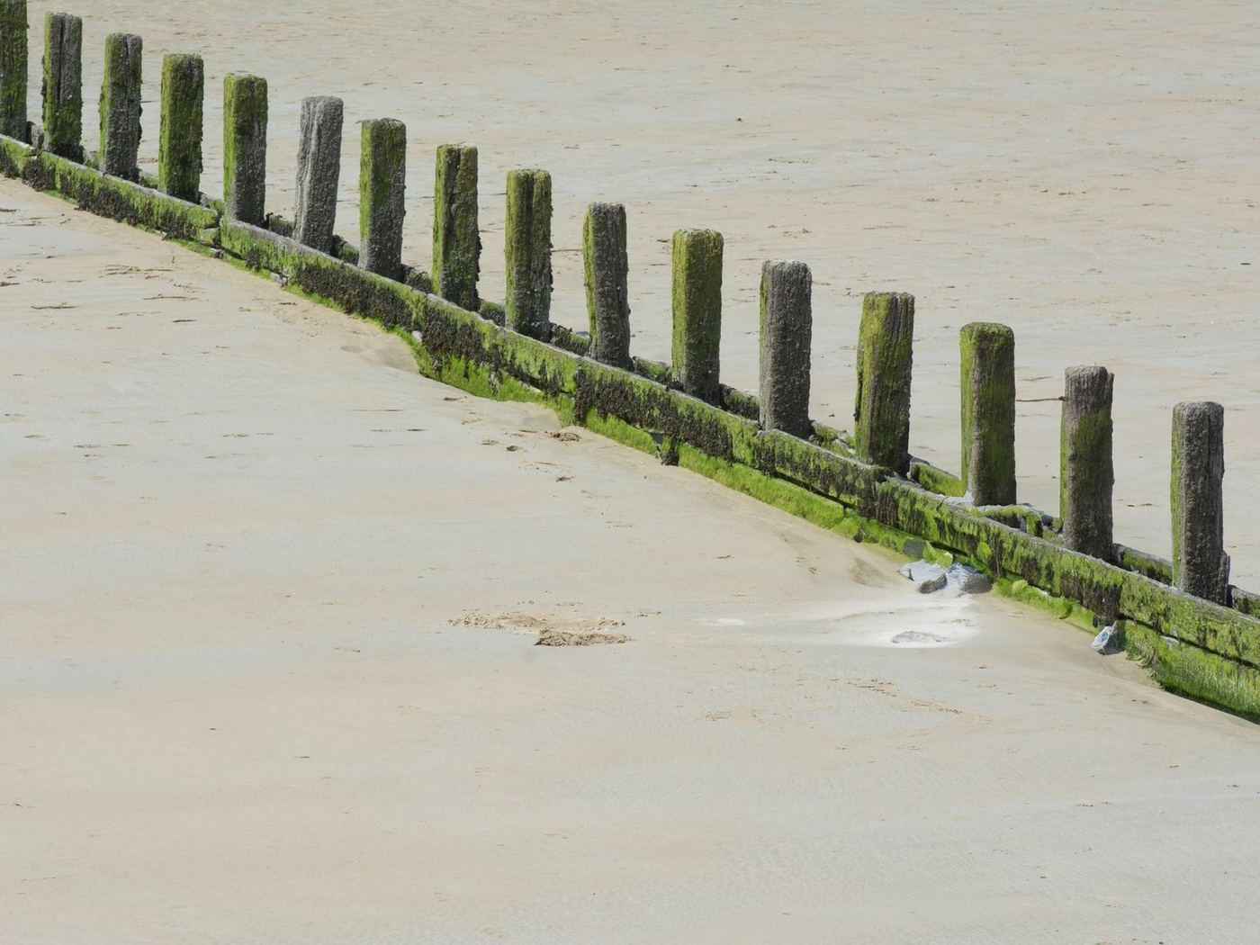 Row of timber seawall posts stepping down a graded sand bank at the water's edge