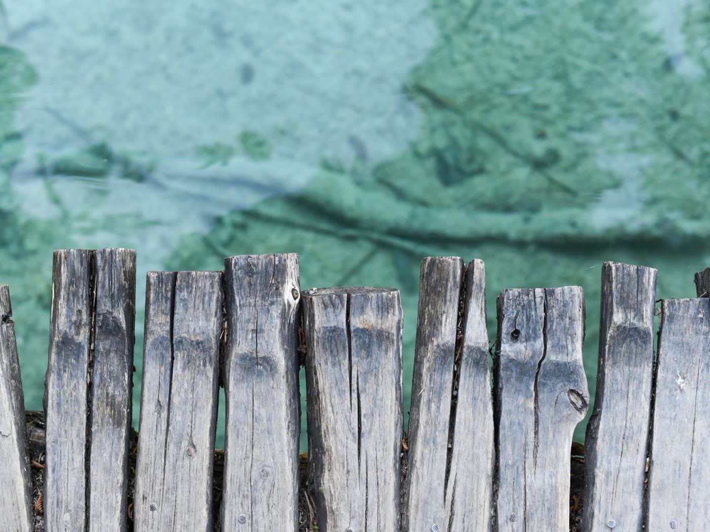 Timber seawall planks capped level along the edge of clear green water