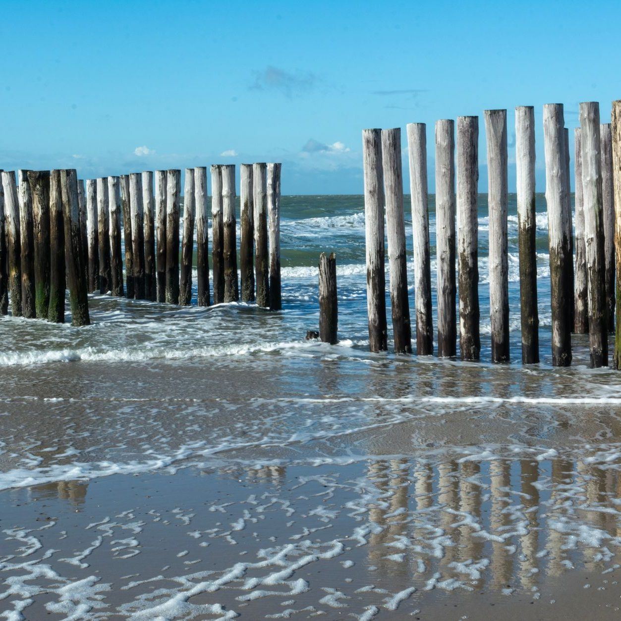 Row of timber pilings running out through the surf along a wide beach