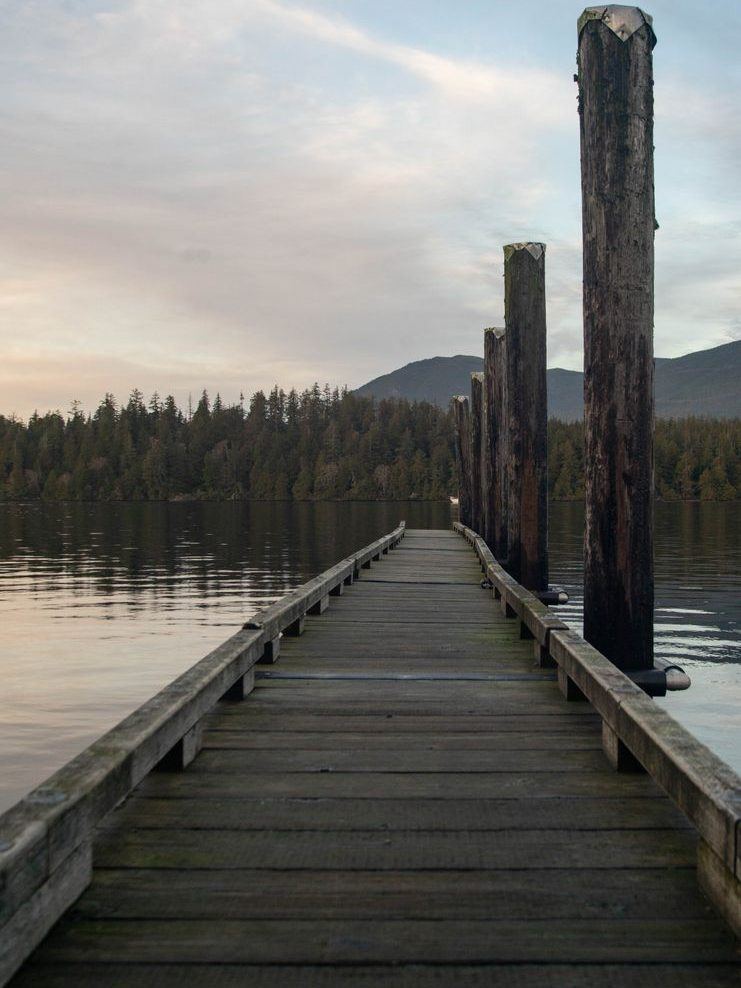 Long timber jetty running straight out into a still lake toward the far treeline