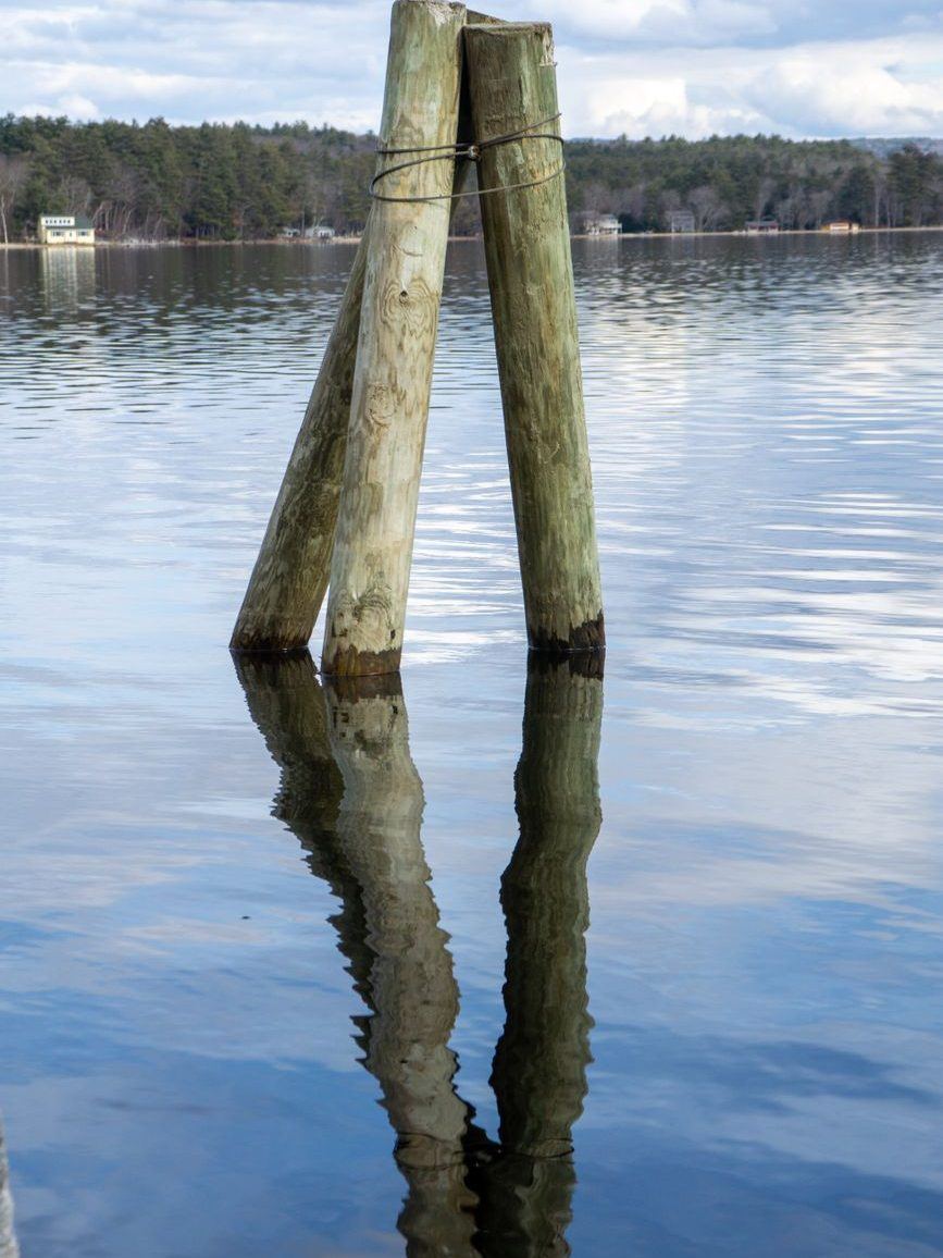 Pair of timber pilings standing in still water with their reflection below